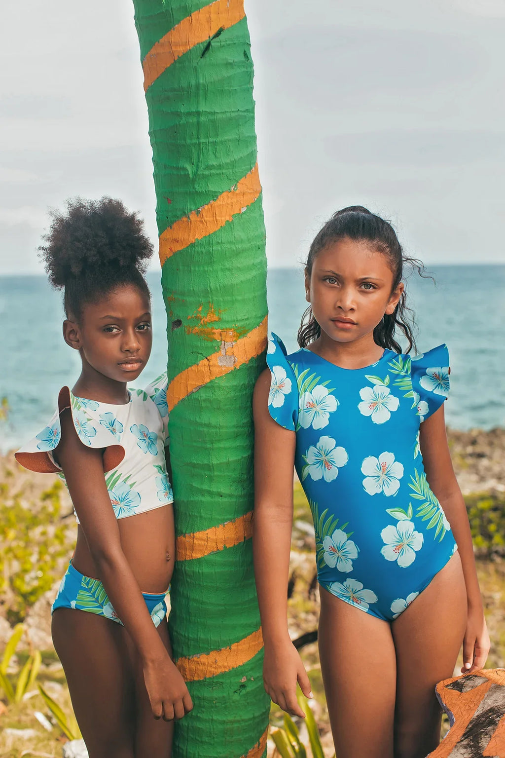 Hibiscus Azul Dayana One Piece
